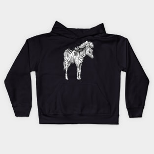 Cute Baby Zebra Kids Hoodie